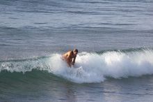 Surfers in Honolua Bay, Maui, Hawai'i, 2007.

Filename: SRM_20071217_1623465.jpg
Aperture: f/5.6
Shutter Speed: 1/1000
Body: Canon EOS 20D
Lens: Canon EF 300mm f/2.8 L IS