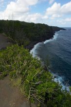 Near Kahakuloa on the north end of Maui, Hawai'i, 2007.

Filename: SRM_20071219_1455381.jpg
Aperture: f/10.0
Shutter Speed: 1/200
Body: Canon EOS-1D Mark II
Lens: Sigma 15-30mm f/3.5-4.5 EX Aspherical DG DF