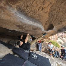 

Filename: SRM_20230224_1216240.jpg
Aperture: f/4.0
Shutter Speed: 1/400
Body: Canon EOS R6
Lens: Canon EF 16-35mm f/2.8 L