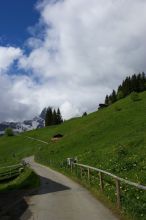 Hike from Murren, through Gimmelen, towards Schiltalp, then through Gimmelwald and back to Murren.

Filename: SRM_20080603_1019593.jpg
Aperture: f/7.1
Shutter Speed: 1/800
Body: Canon EOS-1D Mark II
Lens: Canon EF 16-35mm f/2.8 L