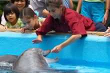 Bottle nosed dolphins at Sea World, San Antonio.

Filename: SRM_20060423_120202_8.jpg
Aperture: f/7.1
Shutter Speed: 1/320
Body: Canon EOS 20D
Lens: Canon EF 80-200mm f/2.8 L