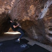 

Filename: SRM_20250316_0920110.jpg
Aperture: f/4.0
Shutter Speed: 1/500
Body: Canon EOS R6
Lens: Canon EF 16-35mm f/2.8 L