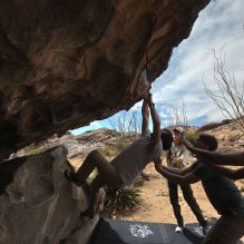 

Filename: SRM_20250317_1212100.jpg
Aperture: f/8.0
Shutter Speed: 1/500
Body: Canon EOS R6
Lens: Canon EF 16-35mm f/2.8 L