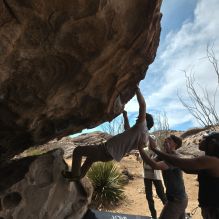

Filename: SRM_20250317_1212160.jpg
Aperture: f/8.0
Shutter Speed: 1/500
Body: Canon EOS R6
Lens: Canon EF 16-35mm f/2.8 L