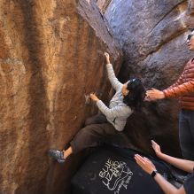 Filename: SRM_20251109_1113460.jpg
Aperture: f/4.0
Shutter Speed: 1/400
Body: Canon EOS R6
Lens: Canon EF 16-35mm f/2.8 L