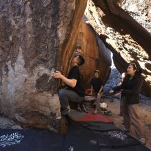 Filename: SRM_20251109_1126450.jpg
Aperture: f/4.0
Shutter Speed: 1/400
Body: Canon EOS R6
Lens: Canon EF 16-35mm f/2.8 L