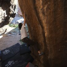 Filename: SRM_20251109_1137111.jpg
Aperture: f/4.0
Shutter Speed: 1/400
Body: Canon EOS R6
Lens: Canon EF 16-35mm f/2.8 L