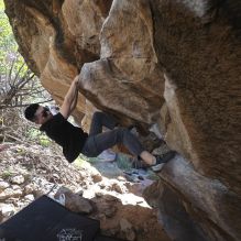 Filename: SRM_20251109_1154270.jpg
Aperture: f/4.0
Shutter Speed: 1/400
Body: Canon EOS R6
Lens: Canon EF 16-35mm f/2.8 L