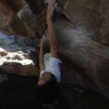 

Filename: SRM_20251109_1159390.jpg
Aperture: f/4.0
Shutter Speed: 1/400
Body: Canon EOS R6
Lens: Canon EF 16-35mm f/2.8 L