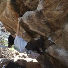 Filename: SRM_20251109_1200010.jpg
Aperture: f/4.0
Shutter Speed: 1/400
Body: Canon EOS R6
Lens: Canon EF 16-35mm f/2.8 L