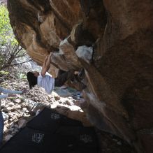 Filename: SRM_20251109_1200170.jpg
Aperture: f/4.0
Shutter Speed: 1/400
Body: Canon EOS R6
Lens: Canon EF 16-35mm f/2.8 L