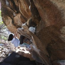 Filename: SRM_20251109_1200240.jpg
Aperture: f/4.0
Shutter Speed: 1/400
Body: Canon EOS R6
Lens: Canon EF 16-35mm f/2.8 L