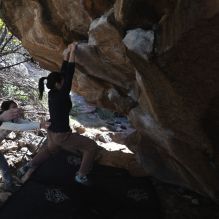 Filename: SRM_20251109_1203431.jpg
Aperture: f/4.0
Shutter Speed: 1/400
Body: Canon EOS R6
Lens: Canon EF 16-35mm f/2.8 L