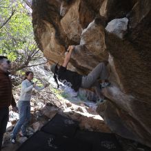 Filename: SRM_20251109_1223430.jpg
Aperture: f/4.0
Shutter Speed: 1/400
Body: Canon EOS R6
Lens: Canon EF 16-35mm f/2.8 L