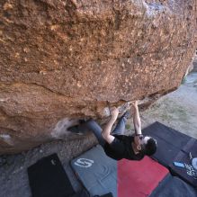 Filename: SRM_20251109_1339081.jpg
Aperture: f/4.0
Shutter Speed: 1/1250
Body: Canon EOS R6
Lens: Canon EF 16-35mm f/2.8 L