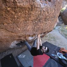 Filename: SRM_20251109_1339130.jpg
Aperture: f/4.0
Shutter Speed: 1/1250
Body: Canon EOS R6
Lens: Canon EF 16-35mm f/2.8 L