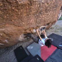 Filename: SRM_20251109_1341460.jpg
Aperture: f/4.0
Shutter Speed: 1/1250
Body: Canon EOS R6
Lens: Canon EF 16-35mm f/2.8 L