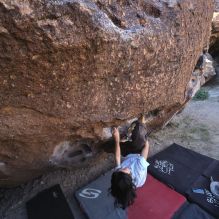 Filename: SRM_20251109_1341500.jpg
Aperture: f/4.0
Shutter Speed: 1/1250
Body: Canon EOS R6
Lens: Canon EF 16-35mm f/2.8 L