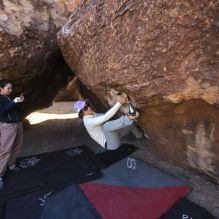 Filename: SRM_20251109_1344340.jpg
Aperture: f/4.0
Shutter Speed: 1/1250
Body: Canon EOS R6
Lens: Canon EF 16-35mm f/2.8 L