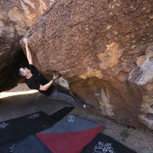 Filename: SRM_20251109_1353410.jpg
Aperture: f/4.0
Shutter Speed: 1/1250
Body: Canon EOS R6
Lens: Canon EF 16-35mm f/2.8 L