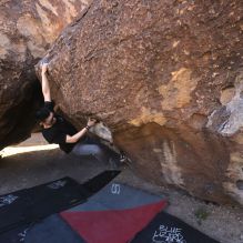 Filename: SRM_20251109_1353420.jpg
Aperture: f/4.0
Shutter Speed: 1/1250
Body: Canon EOS R6
Lens: Canon EF 16-35mm f/2.8 L