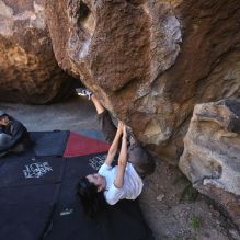 Filename: SRM_20251109_1359580.jpg
Aperture: f/4.0
Shutter Speed: 1/1250
Body: Canon EOS R6
Lens: Canon EF 16-35mm f/2.8 L