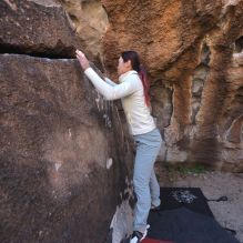 Filename: SRM_20251109_1422431.jpg
Aperture: f/4.0
Shutter Speed: 1/1250
Body: Canon EOS R6
Lens: Canon EF 16-35mm f/2.8 L