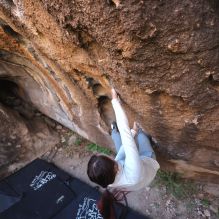 Filename: SRM_20251109_1437270.jpg
Aperture: f/4.0
Shutter Speed: 1/1250
Body: Canon EOS R6
Lens: Canon EF 16-35mm f/2.8 L