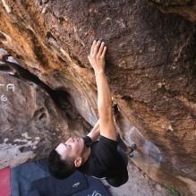 Filename: SRM_20251109_1442501.jpg
Aperture: f/4.0
Shutter Speed: 1/1250
Body: Canon EOS R6
Lens: Canon EF 16-35mm f/2.8 L