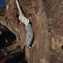 Filename: SRM_20251109_1552430.jpg
Aperture: f/5.6
Shutter Speed: 1/2000
Body: Canon EOS R6
Lens: Canon EF 16-35mm f/2.8 L