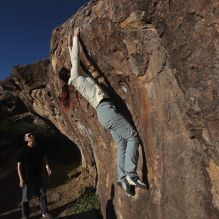 Filename: SRM_20251109_1552500.jpg
Aperture: f/5.6
Shutter Speed: 1/2000
Body: Canon EOS R6
Lens: Canon EF 16-35mm f/2.8 L