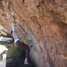 Filename: SRM_20251110_1119550.jpg
Aperture: f/5.6
Shutter Speed: 1/1000
Body: Canon EOS R6
Lens: Canon EF 16-35mm f/2.8 L