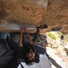 Filename: SRM_20251110_1329430.jpg
Aperture: f/5.6
Shutter Speed: 1/500
Body: Canon EOS R6
Lens: Canon EF 16-35mm f/2.8 L