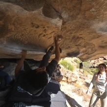 Filename: SRM_20251110_1330011.jpg
Aperture: f/5.6
Shutter Speed: 1/500
Body: Canon EOS R6
Lens: Canon EF 16-35mm f/2.8 L