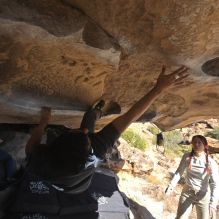 Filename: SRM_20251110_1330012.jpg
Aperture: f/5.6
Shutter Speed: 1/500
Body: Canon EOS R6
Lens: Canon EF 16-35mm f/2.8 L