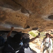 Filename: SRM_20251110_1330014.jpg
Aperture: f/5.6
Shutter Speed: 1/500
Body: Canon EOS R6
Lens: Canon EF 16-35mm f/2.8 L