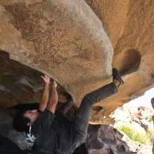 Filename: SRM_20251110_1341380.jpg
Aperture: f/5.6
Shutter Speed: 1/500
Body: Canon EOS R6
Lens: Canon EF 16-35mm f/2.8 L