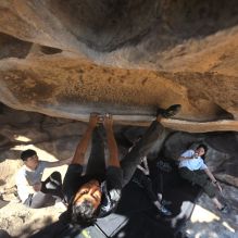 Filename: SRM_20251110_1425110.jpg
Aperture: f/5.6
Shutter Speed: 1/500
Body: Canon EOS R6
Lens: Canon EF 16-35mm f/2.8 L