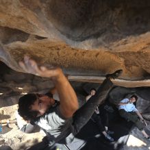 Filename: SRM_20251110_1425140.jpg
Aperture: f/5.6
Shutter Speed: 1/500
Body: Canon EOS R6
Lens: Canon EF 16-35mm f/2.8 L