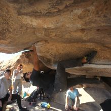 Filename: SRM_20251110_1442190.jpg
Aperture: f/5.6
Shutter Speed: 1/500
Body: Canon EOS R6
Lens: Canon EF 16-35mm f/2.8 L