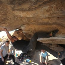 Filename: SRM_20251110_1442210.jpg
Aperture: f/5.6
Shutter Speed: 1/500
Body: Canon EOS R6
Lens: Canon EF 16-35mm f/2.8 L