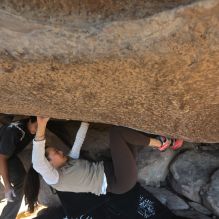 Filename: SRM_20251110_1444330.jpg
Aperture: f/5.6
Shutter Speed: 1/500
Body: Canon EOS R6
Lens: Canon EF 16-35mm f/2.8 L