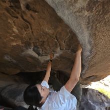 Filename: SRM_20251110_1457270.jpg
Aperture: f/5.6
Shutter Speed: 1/640
Body: Canon EOS R6
Lens: Canon EF 16-35mm f/2.8 L