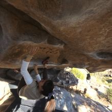 Filename: SRM_20251110_1502440.jpg
Aperture: f/5.6
Shutter Speed: 1/640
Body: Canon EOS R6
Lens: Canon EF 16-35mm f/2.8 L