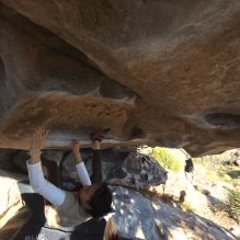 Filename: SRM_20251110_1502450.jpg
Aperture: f/5.6
Shutter Speed: 1/640
Body: Canon EOS R6
Lens: Canon EF 16-35mm f/2.8 L