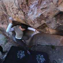 Filename: SRM_20251110_1548380.jpg
Aperture: f/4.0
Shutter Speed: 1/500
Body: Canon EOS R6
Lens: Canon EF 16-35mm f/2.8 L