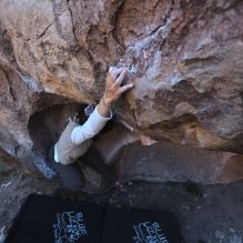 Filename: SRM_20251110_1549460.jpg
Aperture: f/4.0
Shutter Speed: 1/500
Body: Canon EOS R6
Lens: Canon EF 16-35mm f/2.8 L