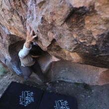 Filename: SRM_20251110_1549480.jpg
Aperture: f/4.0
Shutter Speed: 1/500
Body: Canon EOS R6
Lens: Canon EF 16-35mm f/2.8 L