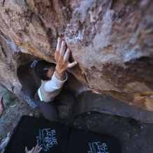 Filename: SRM_20251110_1550130.jpg
Aperture: f/4.0
Shutter Speed: 1/500
Body: Canon EOS R6
Lens: Canon EF 16-35mm f/2.8 L