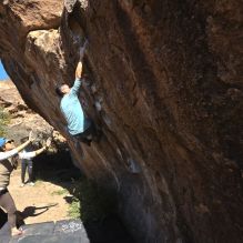 Filename: SRM_20251110_1141040.jpg
Aperture: f/5.6
Shutter Speed: 1/800
Body: Canon EOS R6
Lens: Canon EF 16-35mm f/2.8 L